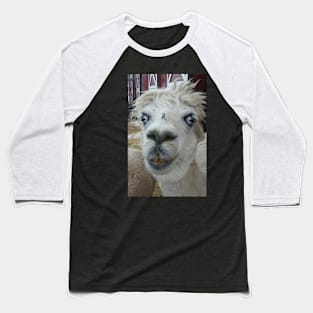 Alpaca Baseball T-Shirt